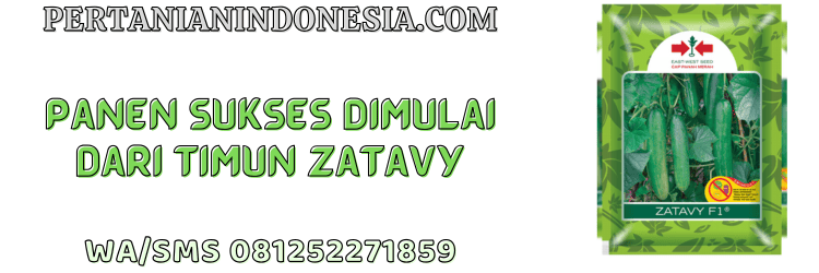 jual,murah,terjangkau,toko pertanian terdekat,pertanian indonesia